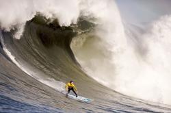 爱游戏在线-雄鹿铁蹄碾碎独行侠，高诗岩异域绽放惊艳篮坛