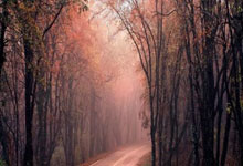 爱游戏在线-关于里昂横扫韩国，卡塞米罗关键制胜的信息