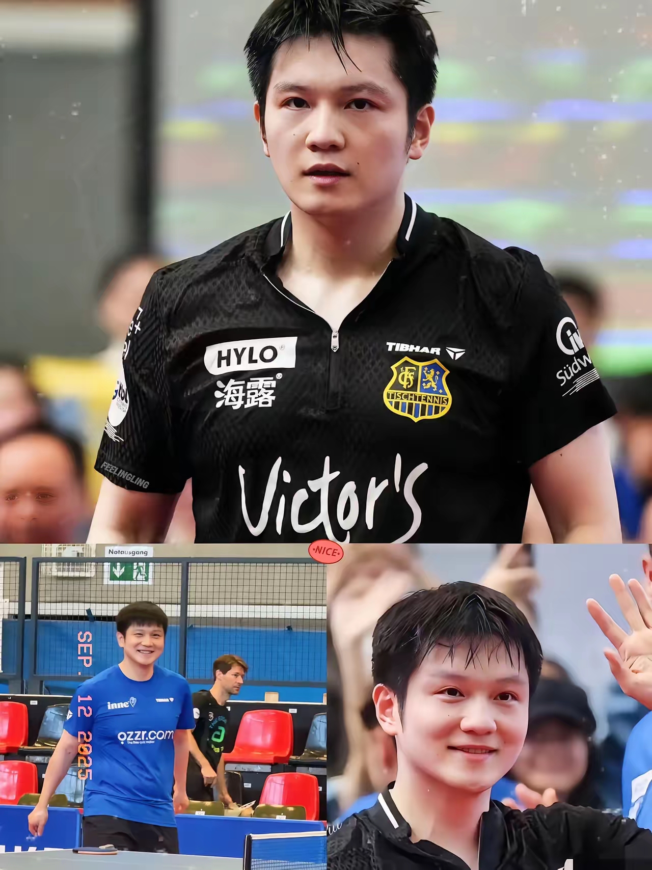 关于德国乒乓球队轻取法国乒乓球队，王皓送出助攻的信息