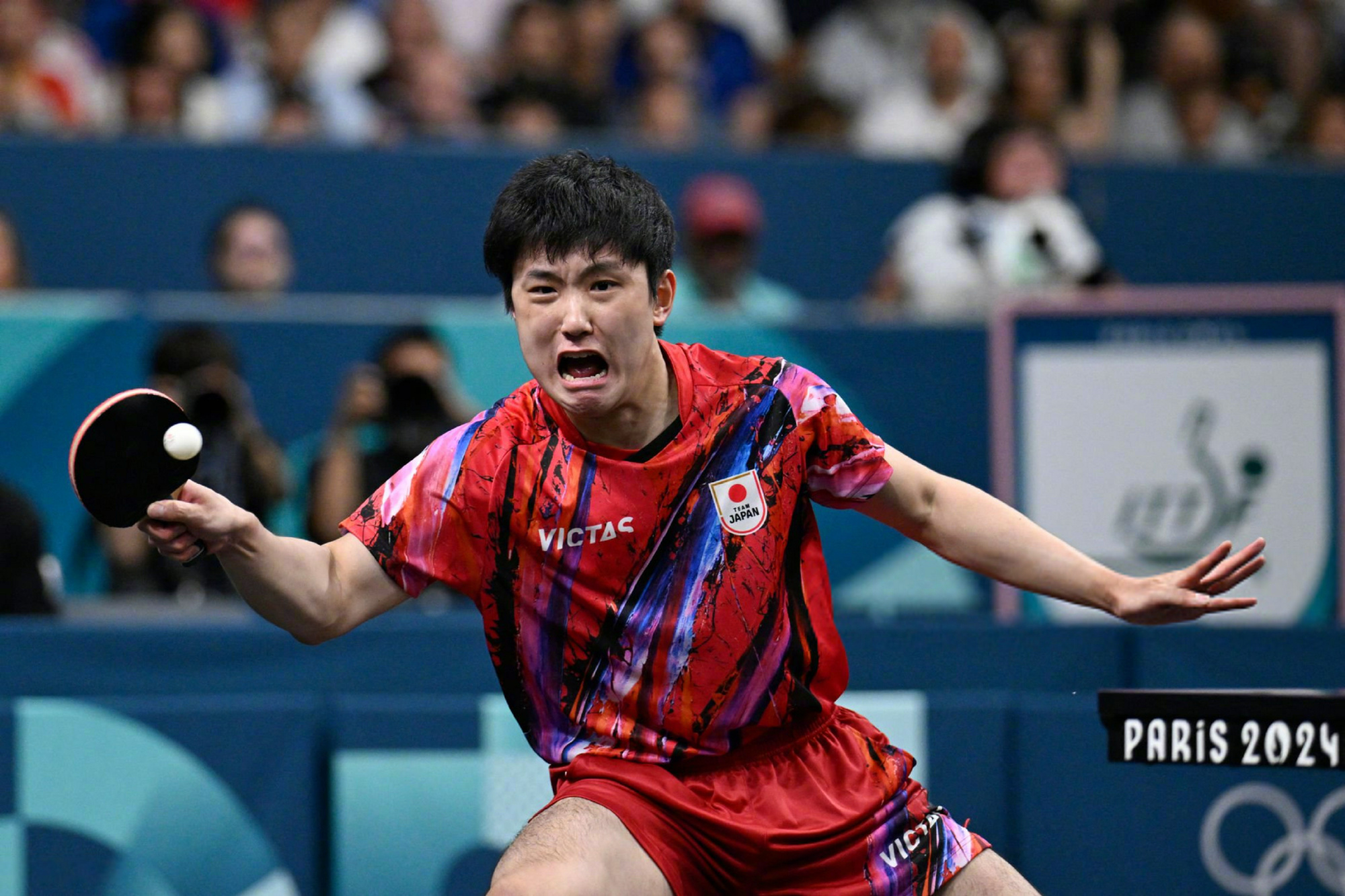 包含波兰乒乓球队强势瑞典乒乓球队,张本智和完成帽子戏法的词条 包含波兰乒乓球队强势瑞典乒乓球队,张本智和完成帽子戏法的词条