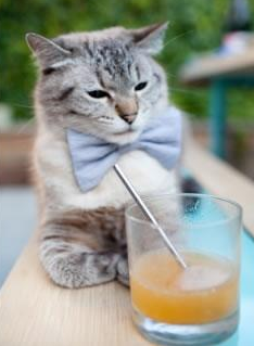 北欧风暴，瑞典抢七战强压比利时，书写冰与火之歌