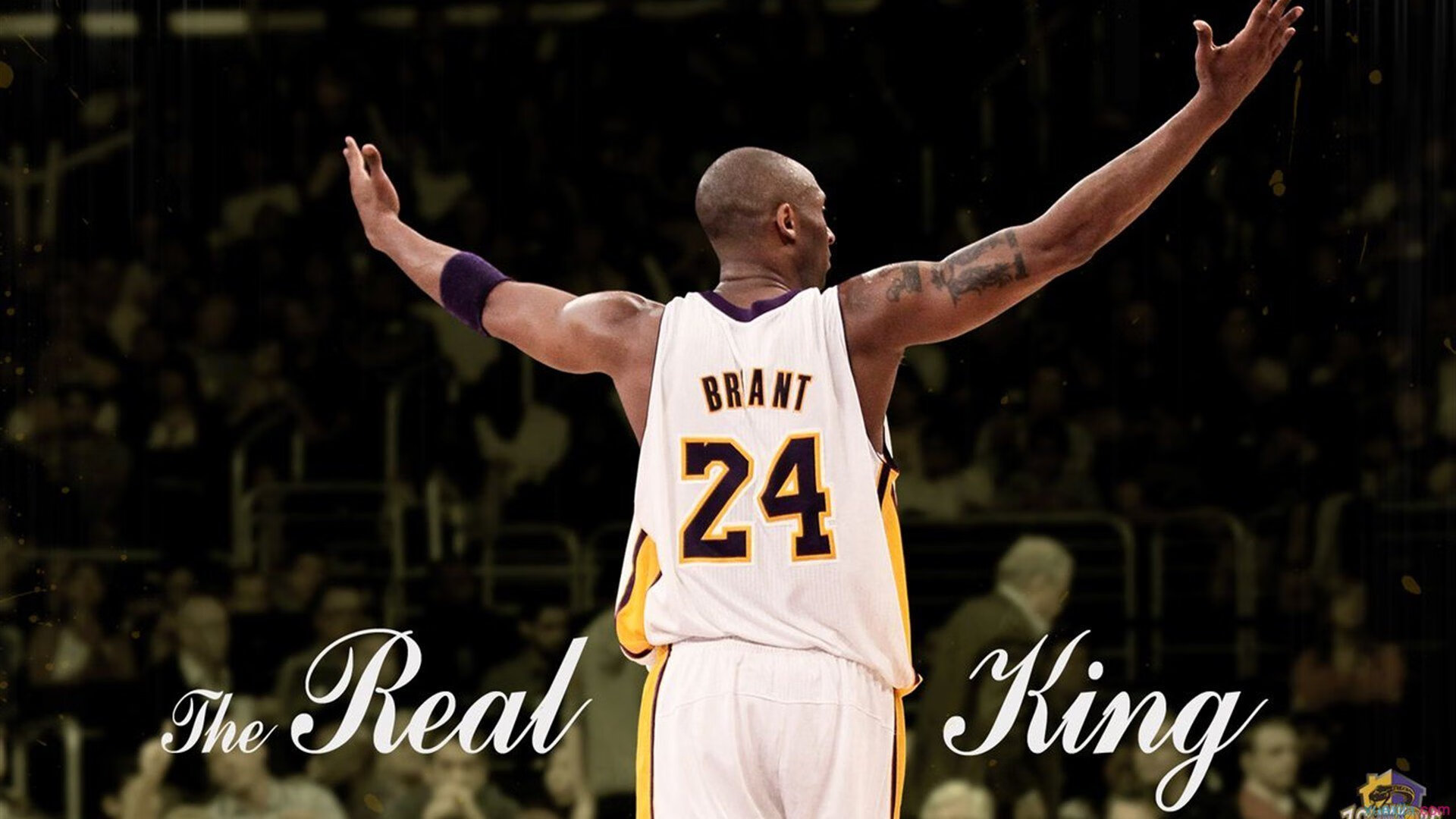 约基奇式统治力降临CBA？鹈鹕生死战逆袭广厦启示录